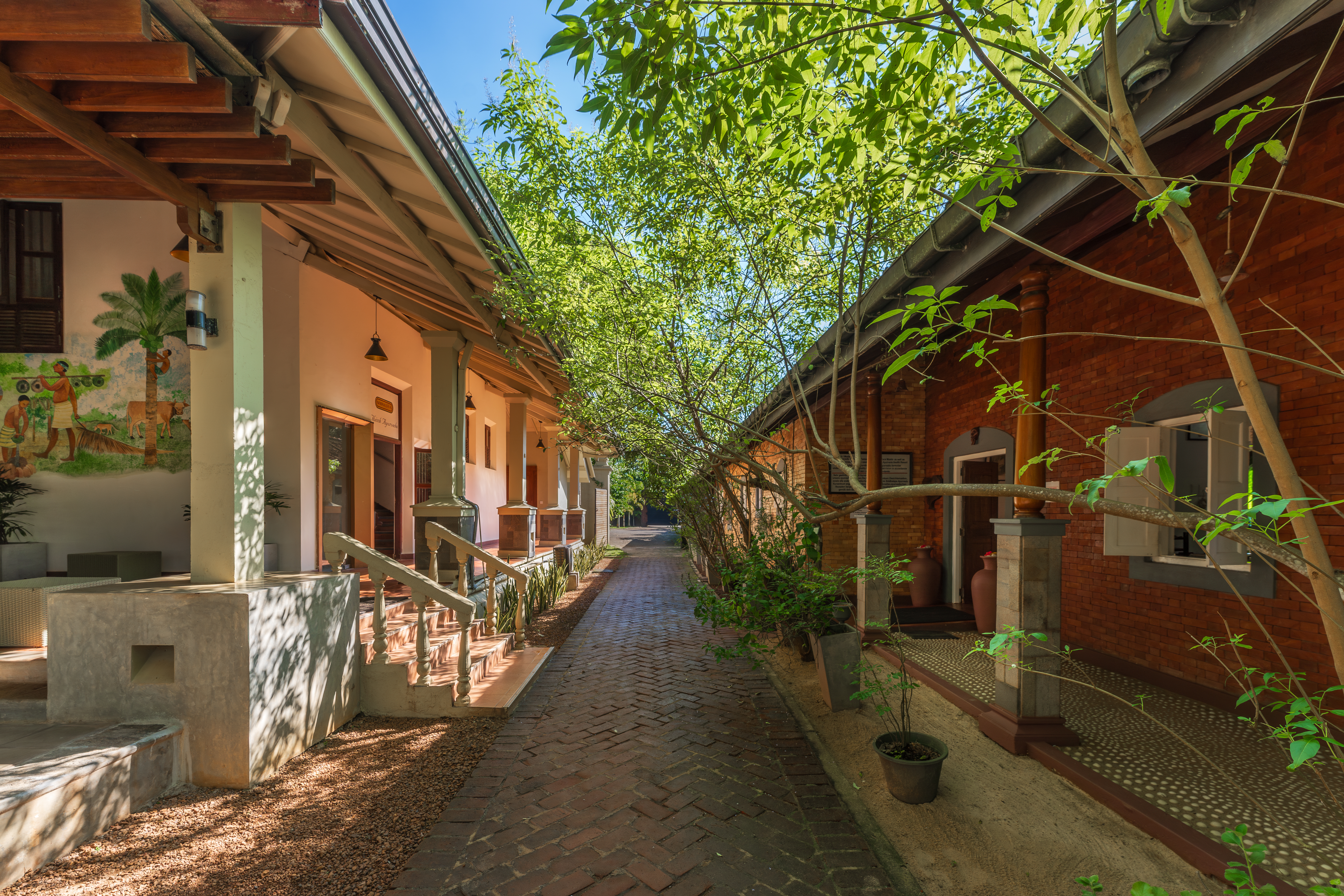 Siddhalepa Ayurveda Health Resort 1